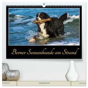 Berner Sennenhunde am Strand (hochwertiger Premium Wandkalender 2024 DIN A2 quer), Kunstdruck in Hochglanz von Starick,  Sigrid