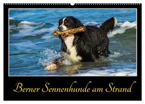 Berner Sennenhunde am Strand (Wandkalender 2024 DIN A2 quer), CALVENDO Monatskalender von Starick,  Sigrid