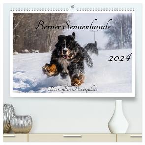 Berner Sennenhunde – Die sanften Powerpakete (hochwertiger Premium Wandkalender 2024 DIN A2 quer), Kunstdruck in Hochglanz von K. Fotografie,  Jana