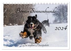Berner Sennenhunde – Die sanften Powerpakete (Tischkalender 2024 DIN A5 quer), CALVENDO Monatskalender von K. Fotografie,  Jana