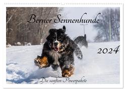 Berner Sennenhunde – Die sanften Powerpakete (Wandkalender 2024 DIN A2 quer), CALVENDO Monatskalender von K. Fotografie,  Jana