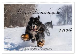 Berner Sennenhunde – Die sanften Powerpakete (Wandkalender 2024 DIN A2 quer), CALVENDO Monatskalender von K. Fotografie,  Jana