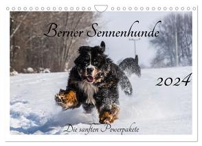 Berner Sennenhunde – Die sanften Powerpakete (Wandkalender 2024 DIN A4 quer), CALVENDO Monatskalender von K. Fotografie,  Jana
