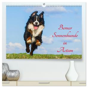 Berner Sennenhunde in Action (hochwertiger Premium Wandkalender 2024 DIN A2 quer), Kunstdruck in Hochglanz von Starick,  Sigrid