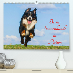 Berner Sennenhunde in Action (Premium, hochwertiger DIN A2 Wandkalender 2021, Kunstdruck in Hochglanz) von Starick,  Sigrid