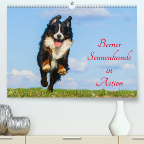 Berner Sennenhunde in Action (Premium, hochwertiger DIN A2 Wandkalender 2022, Kunstdruck in Hochglanz) von Starick,  Sigrid