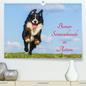 Berner Sennenhunde in Action (Premium, hochwertiger DIN A2 Wandkalender 2023, Kunstdruck in Hochglanz) von Starick,  Sigrid