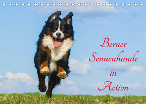 Berner Sennenhunde in Action (Tischkalender 2023 DIN A5 quer) von Starick,  Sigrid