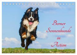 Berner Sennenhunde in Action (Tischkalender 2024 DIN A5 quer), CALVENDO Monatskalender von Starick,  Sigrid