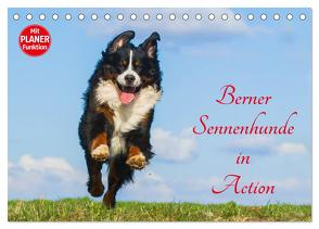 Berner Sennenhunde in Action (Tischkalender 2024 DIN A5 quer), CALVENDO Monatskalender von Starick,  Sigrid