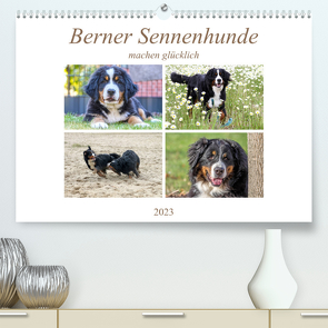 Berner Sennenhunde machen glücklich (Premium, hochwertiger DIN A2 Wandkalender 2023, Kunstdruck in Hochglanz) von SchnelleWelten