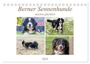 Berner Sennenhunde machen glücklich (Tischkalender 2024 DIN A5 quer), CALVENDO Monatskalender von SchnelleWelten,  SchnelleWelten