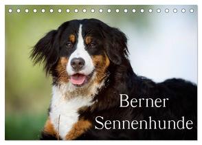 Berner Sennenhunde (Tischkalender 2024 DIN A5 quer), CALVENDO Monatskalender von Noack,  Nicole