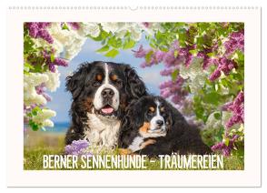 Berner Sennenhunde – Träumereien (Wandkalender 2024 DIN A2 quer), CALVENDO Monatskalender von Starick,  Sigrid