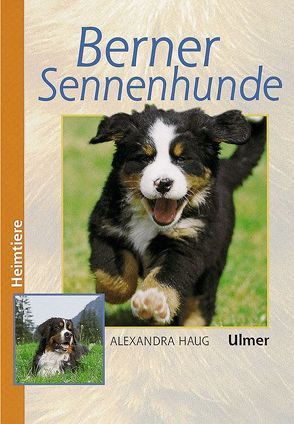Berner Sennenhunde von Haug,  Alexandra