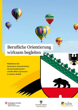 Berufliche Orientierung wirksam begleiten von Wittmer-Gerber,  Saskia