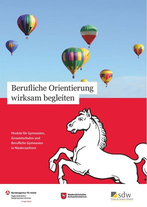 Berufliche Orientierung wirksam begleiten von Wittmer-Gerber,  Saskia