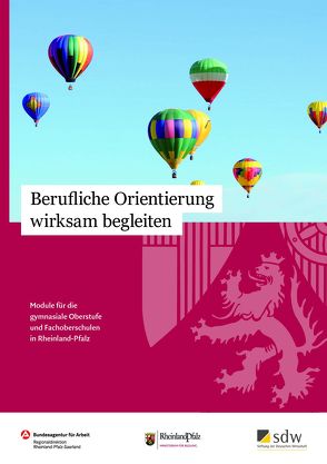 Berufliche Orientierung wirksam begleiten von Wittmer-Gerber,  Saskia