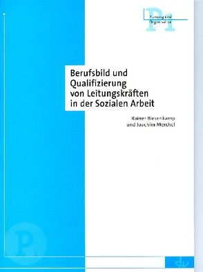 Berufsbild und Qualifizierung von Leitungskräften in der Sozialen Arbeit von Biesenkamp,  Rainer, Merchel,  Joachim
