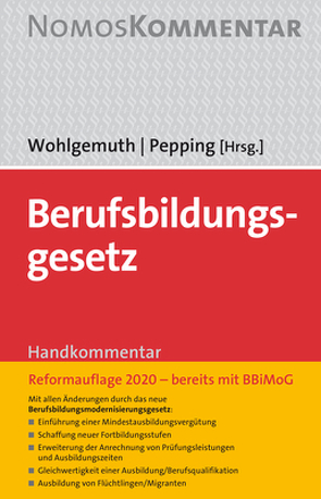 Berufsbildungsgesetz von Pepping,  Georg, Wohlgemuth,  Hans Hermann