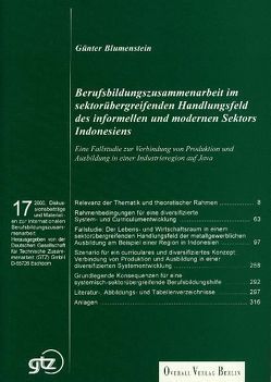 Berufsbildungszusammenarbeit im sektorübergreifenden Handlungsfeld des informellen und modernen Sektors Indonesiens von Alvares,  Nieves, Blumenstein,  Günter