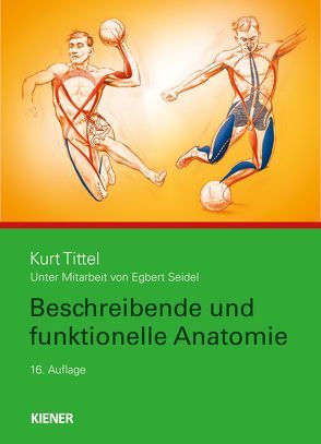 Beschreibende und funktionelle Anatomie von Seidel,  Egbert, Tittel,  Kurt