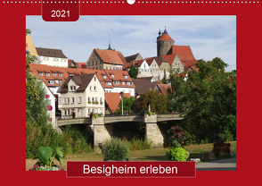 Besigheim erleben (Wandkalender 2021 DIN A2 quer) von Keller,  Angelika