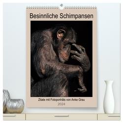 Besinnliche Schimpansen (hochwertiger Premium Wandkalender 2024 DIN A2 hoch), Kunstdruck in Hochglanz von Grau,  Anke