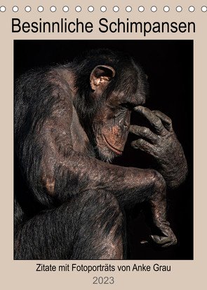 Besinnliche Schimpansen (Tischkalender 2023 DIN A5 hoch) von Grau,  Anke