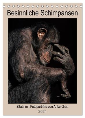 Besinnliche Schimpansen (Tischkalender 2024 DIN A5 hoch), CALVENDO Monatskalender von Grau,  Anke