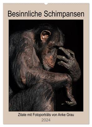 Besinnliche Schimpansen (Wandkalender 2024 DIN A2 hoch), CALVENDO Monatskalender von Grau,  Anke