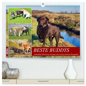 Beste Buddys (hochwertiger Premium Wandkalender 2024 DIN A2 quer), Kunstdruck in Hochglanz von Kleemann,  Claudia