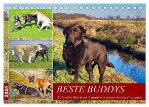 Beste Buddys (Tischkalender 2024 DIN A5 quer), CALVENDO Monatskalender von Kleemann,  Claudia
