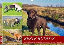 Beste Buddys (Wandkalender 2023 DIN A3 quer) von Kleemann,  Claudia
