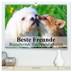 Beste Freunde – Bezaubernde Tierfreundschaften (hochwertiger Premium Wandkalender 2024 DIN A2 quer), Kunstdruck in Hochglanz von Stanzer,  Elisabeth