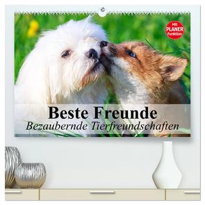 Beste Freunde. Bezaubernde Tierfreundschaften (hochwertiger Premium Wandkalender 2024 DIN A2 quer), Kunstdruck in Hochglanz von Stanzer,  Elisabeth