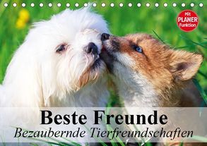 Beste Freunde. Bezaubernde Tierfreundschaften (Tischkalender 2019 DIN A5 quer) von Stanzer,  Elisabeth