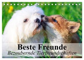 Beste Freunde – Bezaubernde Tierfreundschaften (Tischkalender 2024 DIN A5 quer), CALVENDO Monatskalender von Stanzer,  Elisabeth