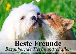 Beste Freunde – Bezaubernde Tierfreundschaften (Wandkalender 2023 DIN A3 quer) von Stanzer,  Elisabeth