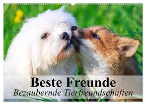 Beste Freunde – Bezaubernde Tierfreundschaften (Wandkalender 2024 DIN A2 quer), CALVENDO Monatskalender von Stanzer,  Elisabeth