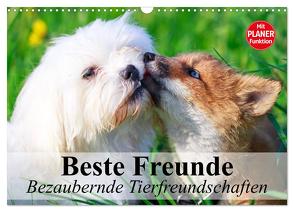 Beste Freunde. Bezaubernde Tierfreundschaften (Wandkalender 2024 DIN A3 quer), CALVENDO Monatskalender von Stanzer,  Elisabeth