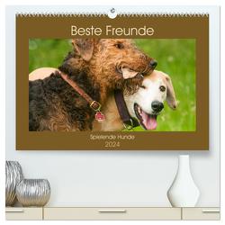 Beste Freunde – Spielende Hunde (hochwertiger Premium Wandkalender 2024 DIN A2 quer), Kunstdruck in Hochglanz von Bölts,  Meike