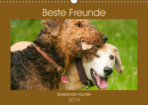 Beste Freunde – Spielende Hunde (Wandkalender 2019 DIN A3 quer) von Bölts,  Meike