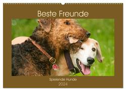 Beste Freunde – Spielende Hunde (Wandkalender 2024 DIN A2 quer), CALVENDO Monatskalender von Bölts,  Meike