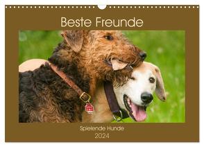 Beste Freunde – Spielende Hunde (Wandkalender 2024 DIN A3 quer), CALVENDO Monatskalender von Bölts,  Meike