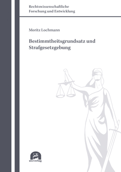 Bestimmtheitsgrundsatz und Strafgesetzgebung von Lochmann,  Moritz