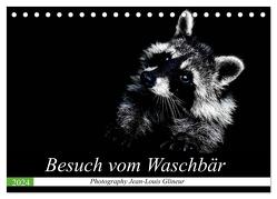 Besuch vom Waschbär (Tischkalender 2024 DIN A5 quer), CALVENDO Monatskalender von Glineur,  Jean-Louis