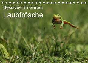 Besucher im Garten – Laubfrösche (Tischkalender 2023 DIN A5 quer) von Wilhelm,  N.