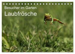 Besucher im Garten – Laubfrösche (Tischkalender 2024 DIN A5 quer), CALVENDO Monatskalender von Wilhelm,  N.