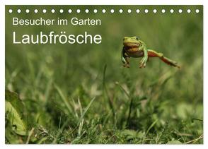 Besucher im Garten – Laubfrösche (Tischkalender 2024 DIN A5 quer), CALVENDO Monatskalender von Wilhelm,  N.